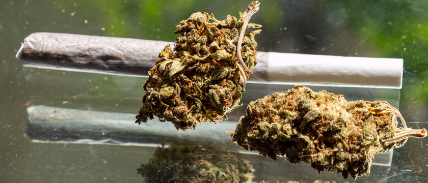 Panorama Marihuana Cannabis Drogen Joint