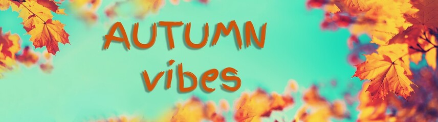 Autumb vibes text. Autumn yellow leaves on blue sky background. Golden autumn concept. Sunny day, warm weather.