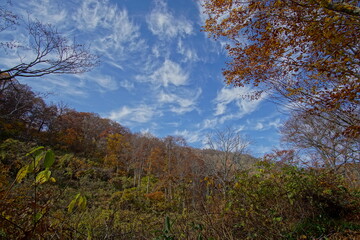 Beautiful autumn landscape in Northern Alps of Japan, Otari, Nagano.