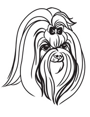 Vector image of Maltese dog on white background