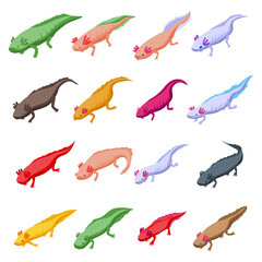 Axolotl icons set. Isometric set of axolotl vector icons for web design isolated on white background
