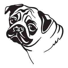 Vector image of pug dog on white background