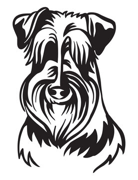 Vector image of Schnauzer dog on white background