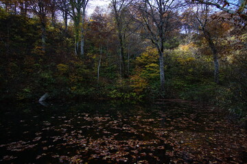 Beautiful autumn landscape in Northern Alps of Japan, Otari, Nagano.