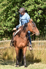 Fototapeta premium Aufsitzen 