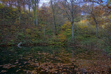 Beautiful autumn landscape in Northern Alps of Japan, Otari, Nagano.
