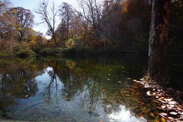 Obraz premium Beautiful autumn landscape in Northern Alps of Japan, Otari, Nagano.