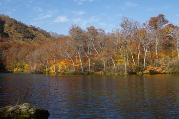 Beautiful colored trees with lake in autumn, landscape photography. Outdoor and nature in Japan