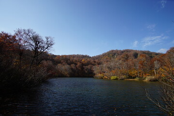 Beautiful colored trees with lake in autumn, landscape photography. Outdoor and nature in Japan