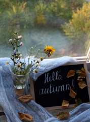 Autumn view with flowers and leaves. Hello autumn writing on the chalkboard. Autumn forest background.