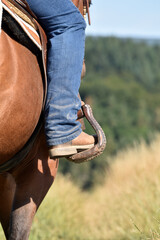 Detail Westernreiten