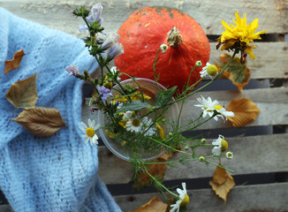 autumn still life with autumn leaves, flowers and pumpkin