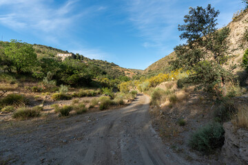 path in a mountainous landscape with vegetation