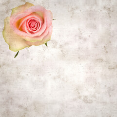 textured old paper background with unusual pink and green rose