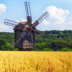 Fototapeta premium Landscape frame old windmill with a Wheat Crop field harvest village