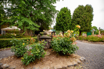 Fototapeta Ogród drzewa kwiaty krzewy droga wrocław obraz