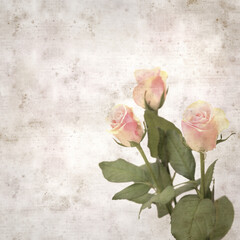 textured old paper background with unusual pink and green rose