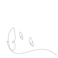 Butterfly fly animal background vector illustration