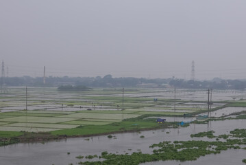 wind turbines in the field