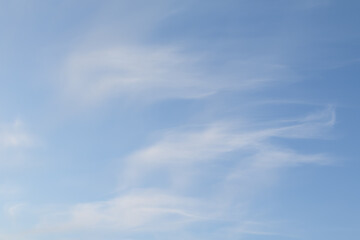 White cirrus clouds are filiform, the sky is blue.