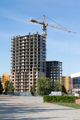 Construction of a monolithic multi-storey building, crane