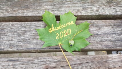 Green leaf of a tree with the inscription 2020, green acorn with a painted mask lie on a wooden bench, large plan
