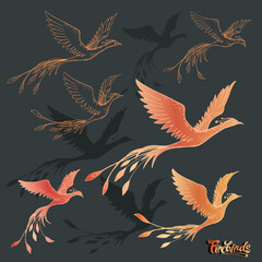 Vector collection of many different firebirds and phoenixes on a dark background with the inscription "firebirds"