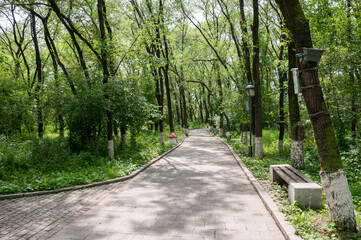 Fototapeta premium China, Heihe, July 2019: Walking path in the Park on the embankment in Heihe city in summer