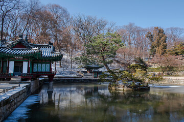 Fototapeta premium Changdeokgung Palace, Seoul.Korea. Changdeokgung Palace is the UNESCO World Cultural Heritage. Beautiful Secret Garden with snow.