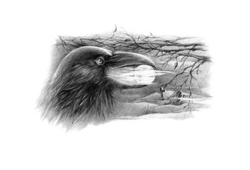 Halloween card with black raven. Hand drawn illustration. Pencil drawing.