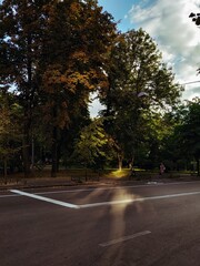 Beginning of the autumn, lights and shadows 