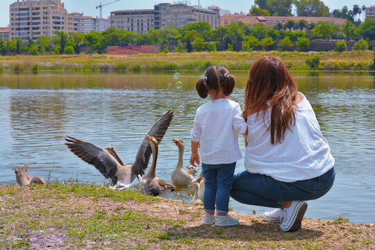 Mother and little girl enjoying in the park
Mother and her daughter enjoying a beautiful day in the field and watching the ducks in the river.
Family and mother's day concept.