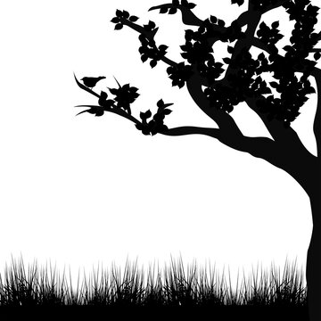 Silhouette of tree and grass