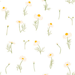 Seamless pattern of hand-drawn chamomiles in gentle colors. Isolated on white