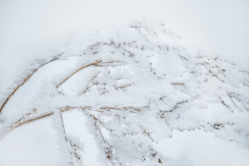 Tree branches covered with crystals of white frost on a natural winter background. First frosts....