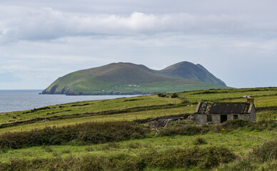 old abandoned irish cottage on the Dingle peninsula, View of great Blasket Island in the background.