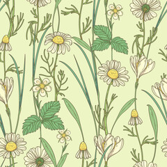 Seamless pattern with daisies and wildflowers