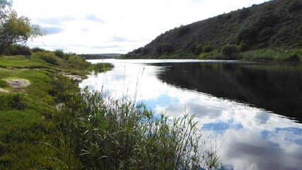 Lush Green Scenery at Bree River, Bontebok NP, South Africa