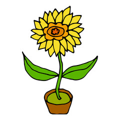 Obraz premium Cartoon doodle flower with leaves in pot isolated on white background. Vector illustration. 