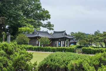 The beautiful traditional house, garden  and forest  at summer.