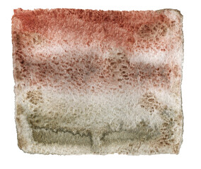 Abstract watercolor hand painted texture isolated on white. Trendy Earthy tones, colors. Boho style. Design for backgrounds, wallpapers, covers and packaging, wrapping paper.