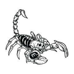 tattoo and t-shirt design black and white hand drawn scorpio skull zodiac  premium vector