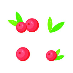 This is a cranberry. Vector berry isolated on white background.