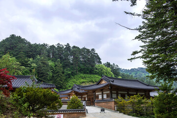 The beautiful traditional house, garden  and forest  at summer.
