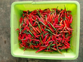 red hot chili peppers