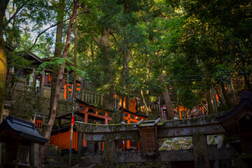 Fototapeta premium Fushimi Inari, Kyoto