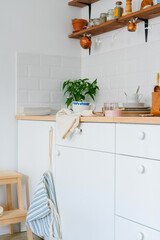 white kitchen interior. Scandinavian interior design in light colors with plants and accessories.