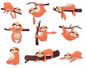 Set of cartoon cute sloth. Poze of sloth