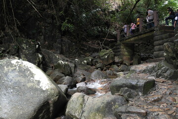 waterfall in the forest
