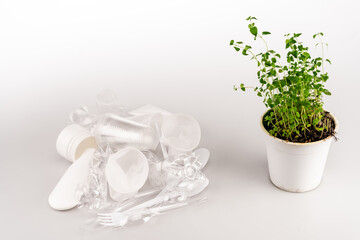 green plant in flowerpot near crumpled plastic trash on white background